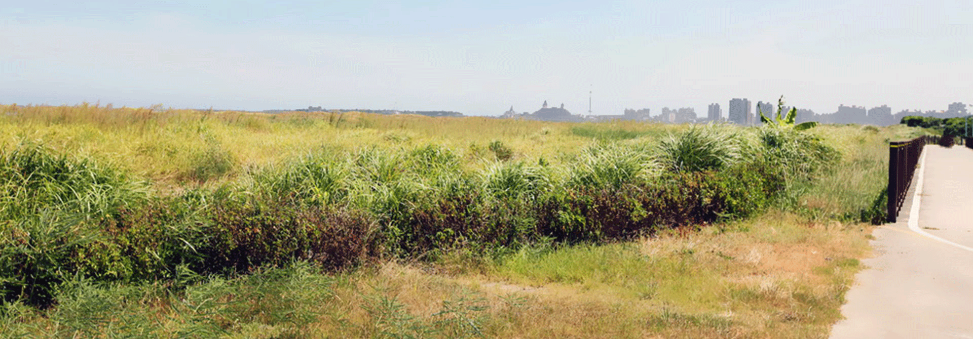 十三行考古遺址