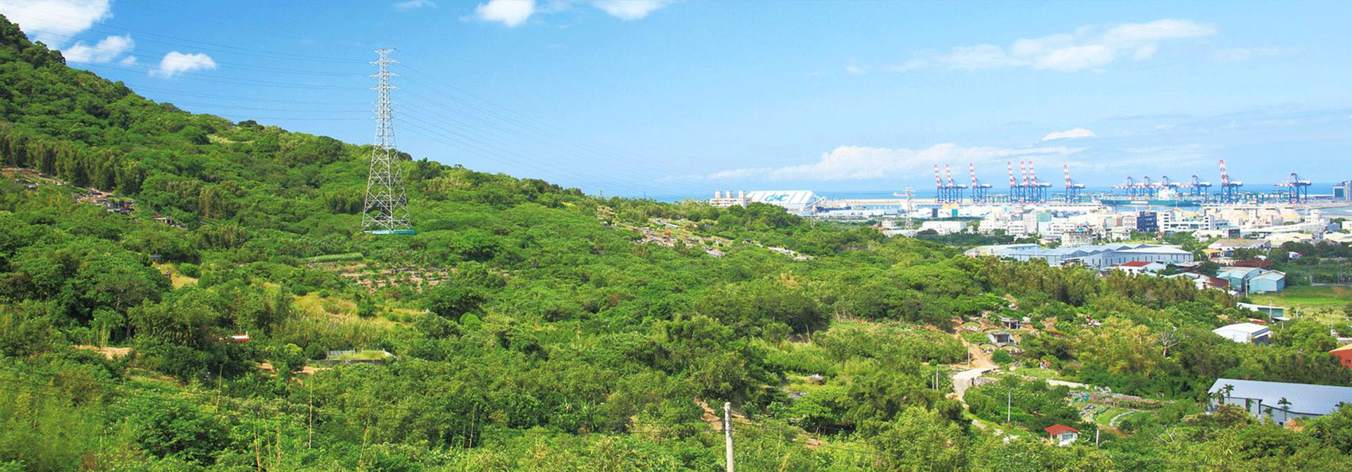 大坌坑考古遺址