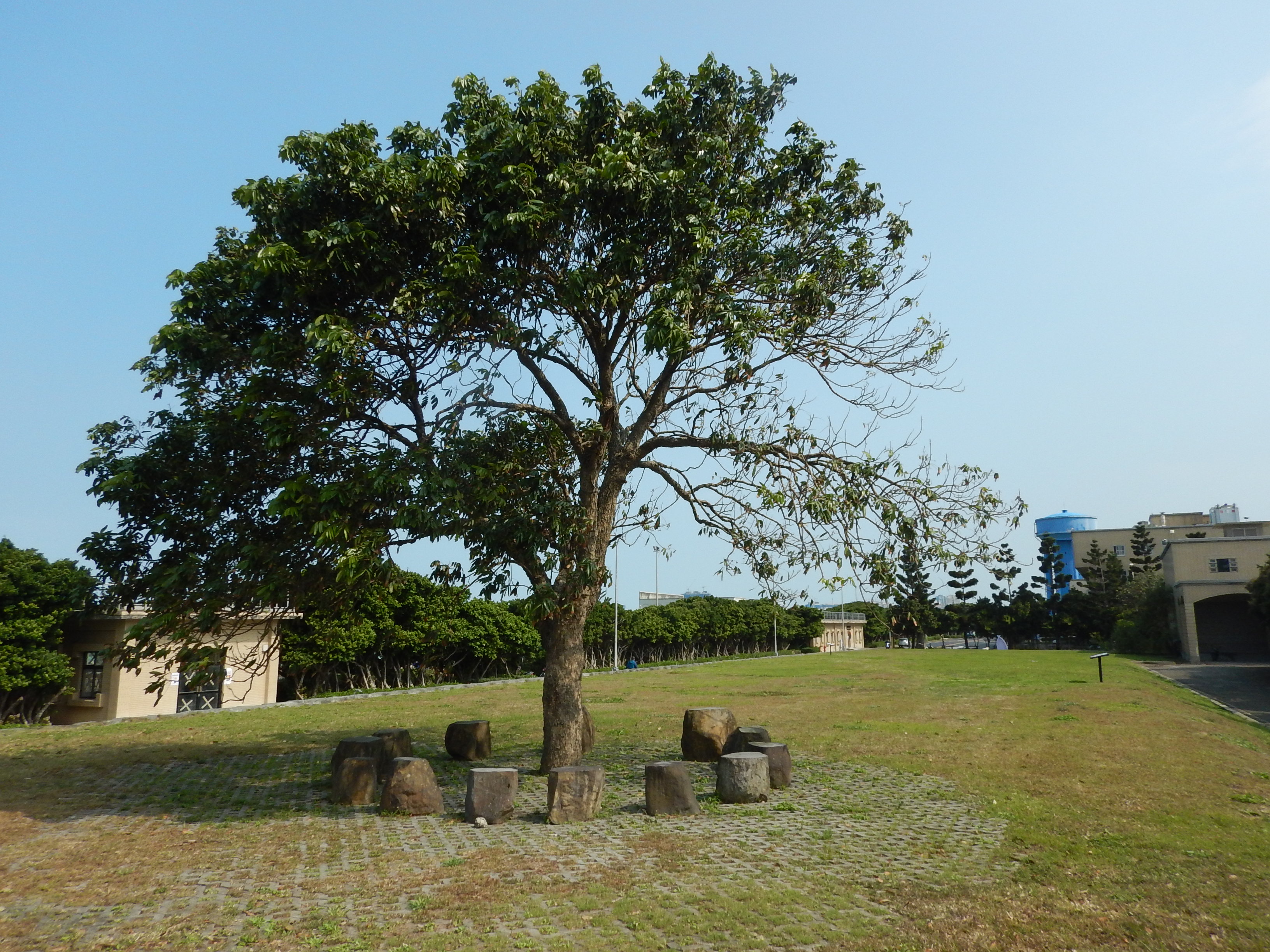 十三行遺址保留區現況