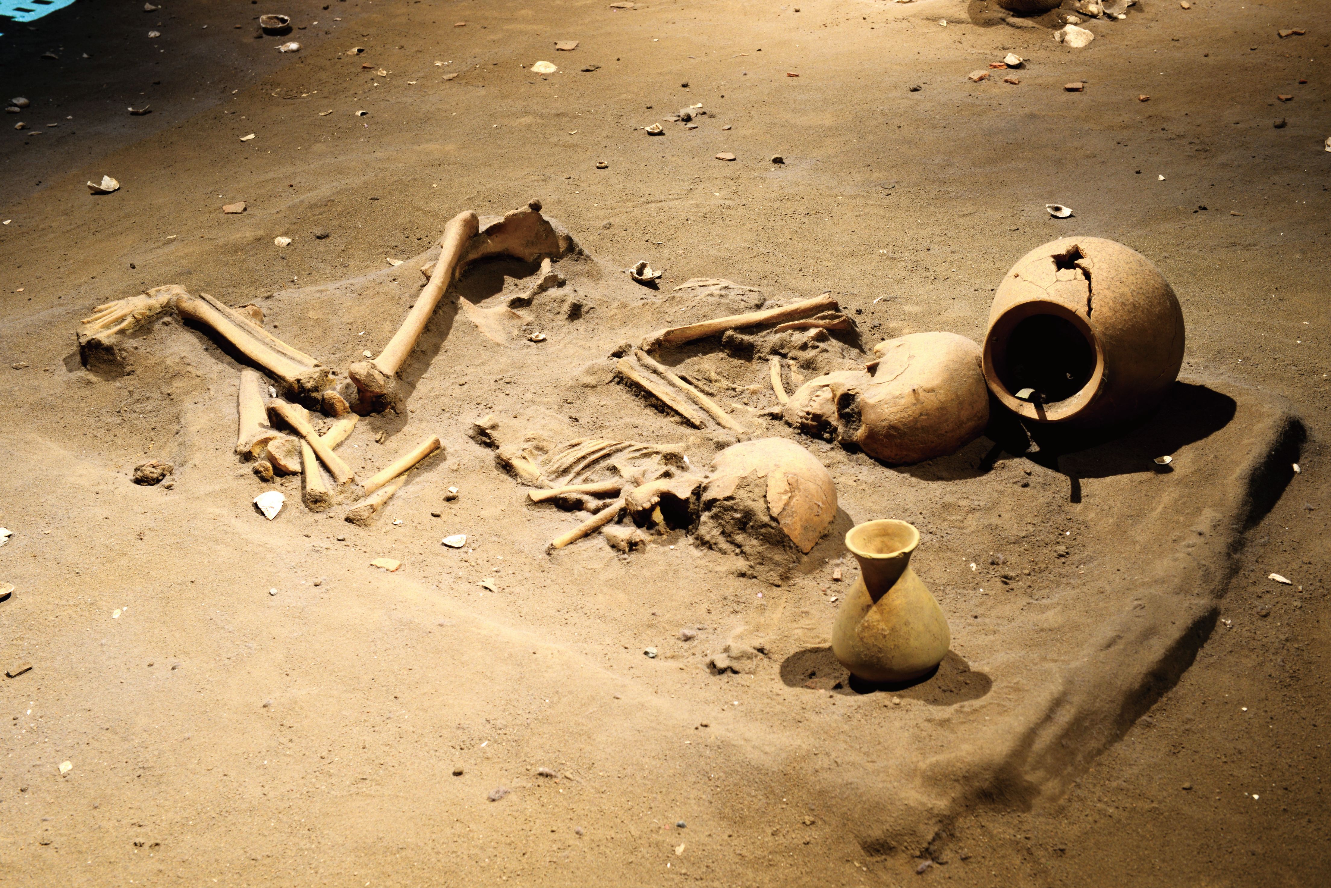 十三行考古遺址