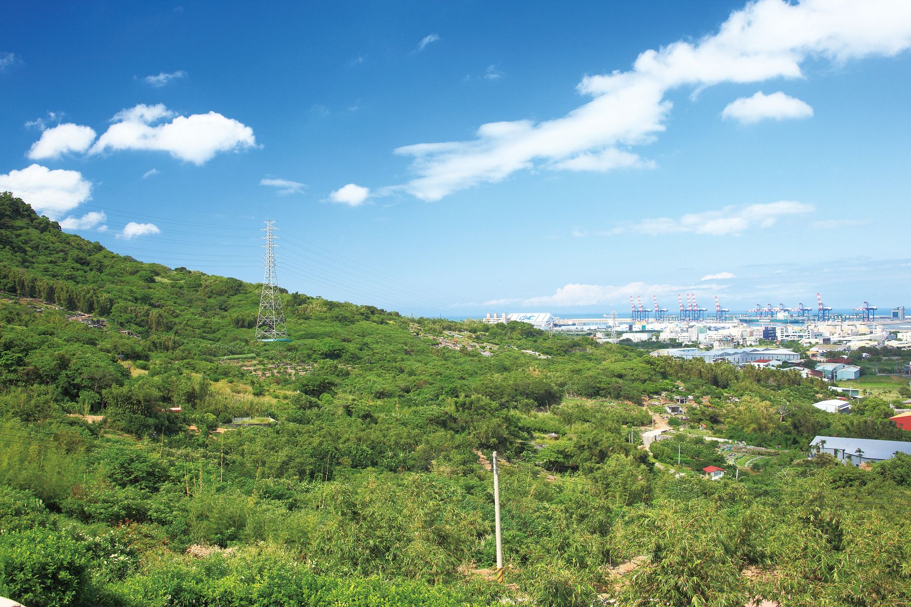 大坌坑考古遺址