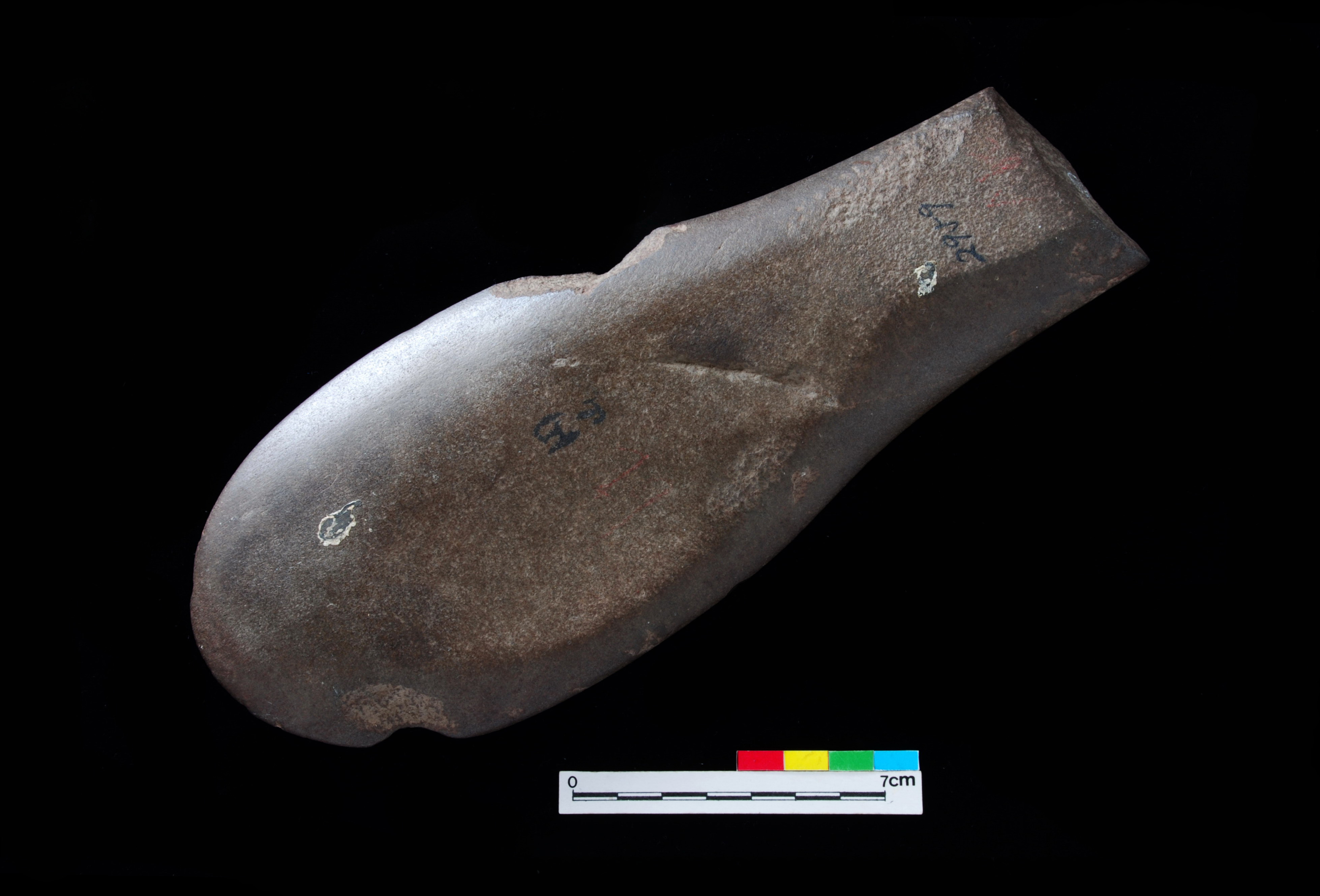 匙形石斧殘件-圖示